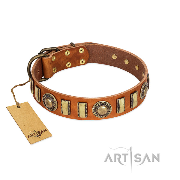 Fine quality natural leather dog collar with corrosion resistant buckle