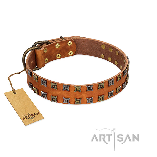 Quality genuine leather dog collar with decorations for your dog