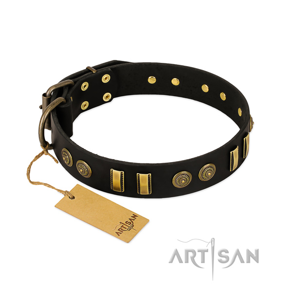 Corrosion proof adornments on full grain natural leather dog collar for your pet