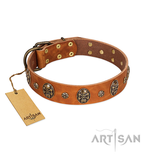 Top notch genuine leather collar for your four-legged friend