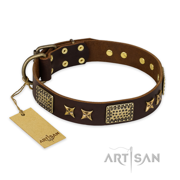 Impressive genuine leather dog collar with corrosion resistant fittings