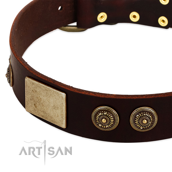 Strong embellishments on genuine leather dog collar for your pet