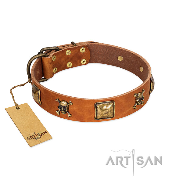 Designer full grain genuine leather dog collar with durable embellishments