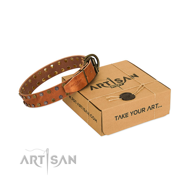 Easy wearing quality leather dog collar with adornments