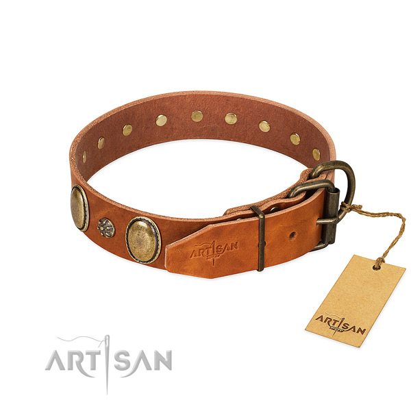Easy wearing top rate full grain leather dog collar
