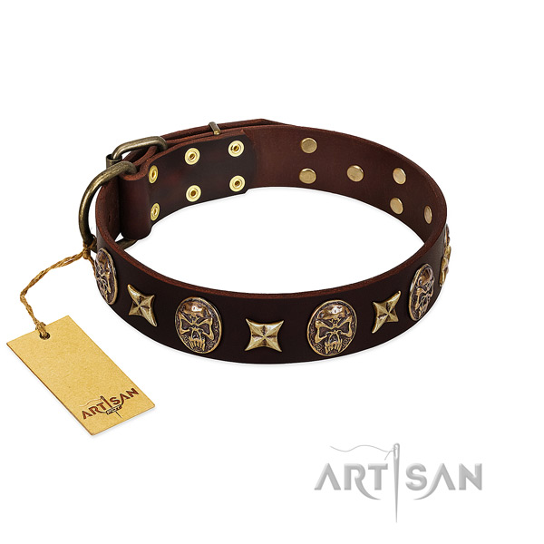 Perfect fit full grain leather collar for your four-legged friend