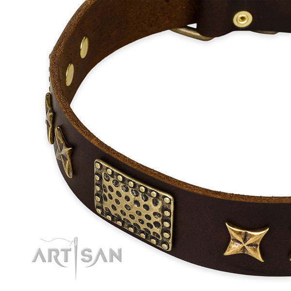 Full grain genuine leather collar with rust-proof D-ring for your impressive pet