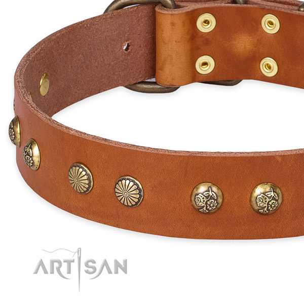 Full grain genuine leather collar with strong traditional buckle for your beautiful pet