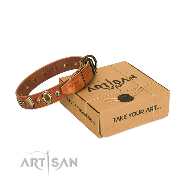 Trendy full grain leather dog collar with corrosion resistant fittings