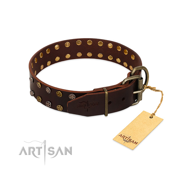 Everyday use full grain genuine leather dog collar with designer studs