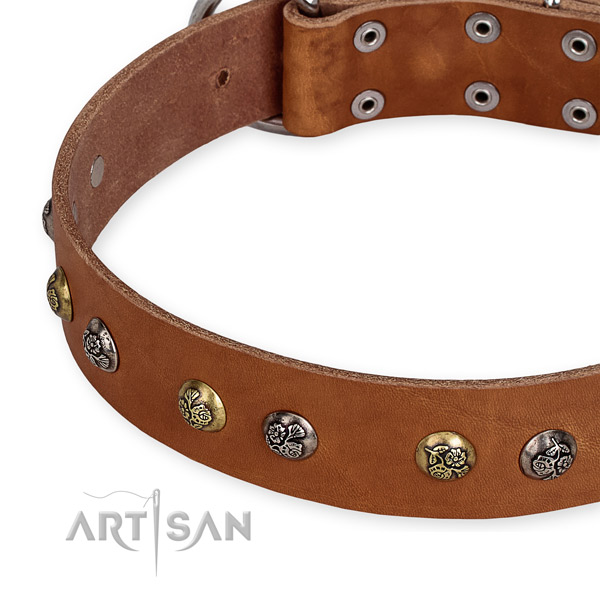 Genuine leather dog collar with top notch strong adornments