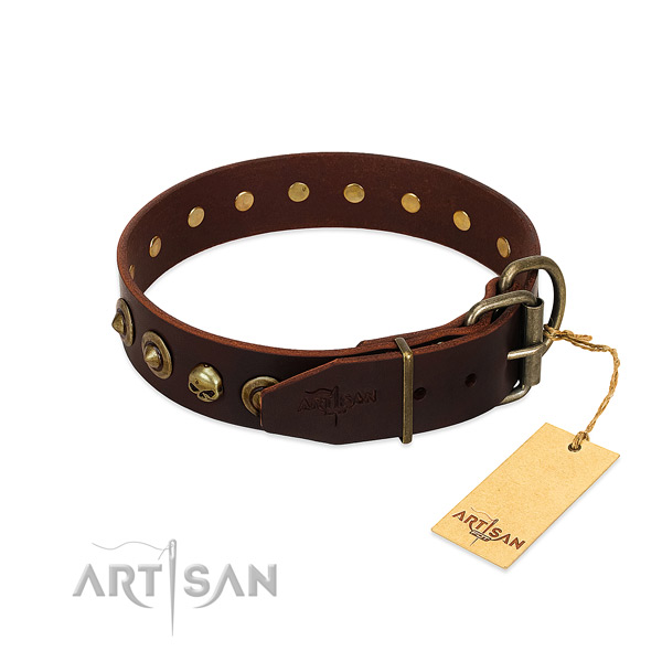 Full grain leather collar with fashionable embellishments for your canine