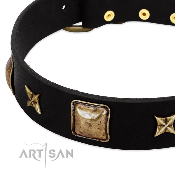Full grain natural leather dog collar with stylish design decorations