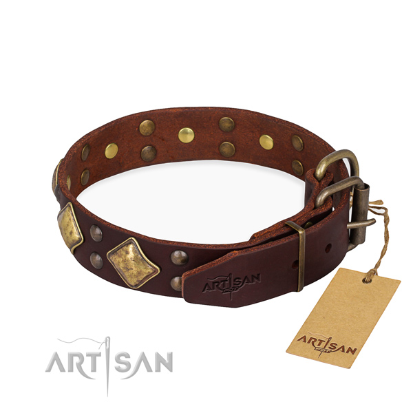 Full grain genuine leather dog collar with remarkable durable embellishments
