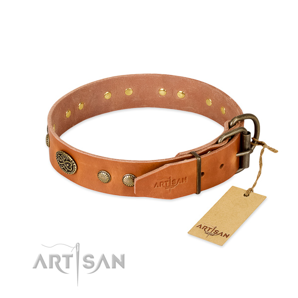 Corrosion proof embellishments on genuine leather dog collar for your canine