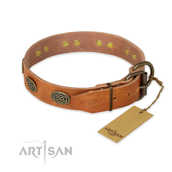Corrosion resistant traditional buckle on natural genuine leather collar for everyday walking your canine