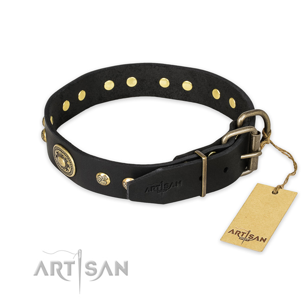 Corrosion proof hardware on leather collar for walking your canine