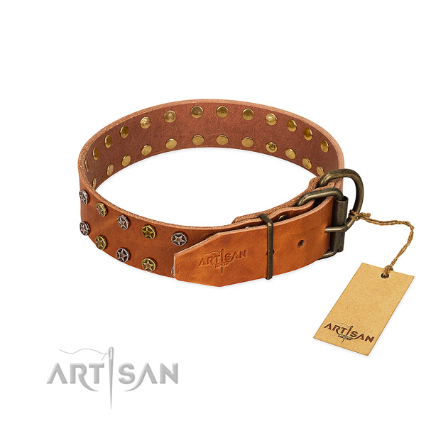 Everyday use leather dog collar with exquisite embellishments