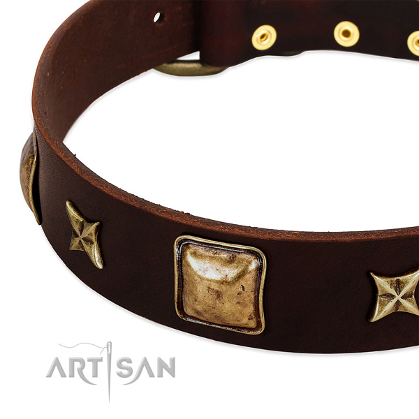 Reliable fittings on genuine leather dog collar for your canine