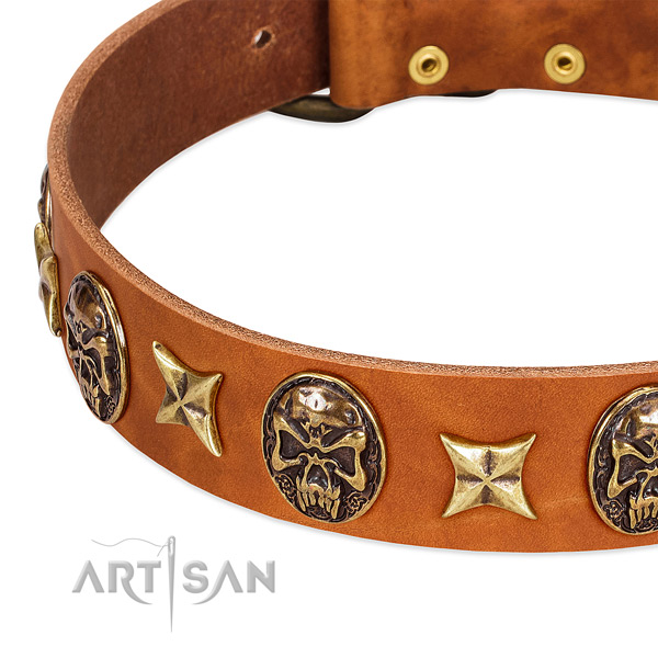 Corrosion proof D-ring on full grain natural leather dog collar for your doggie