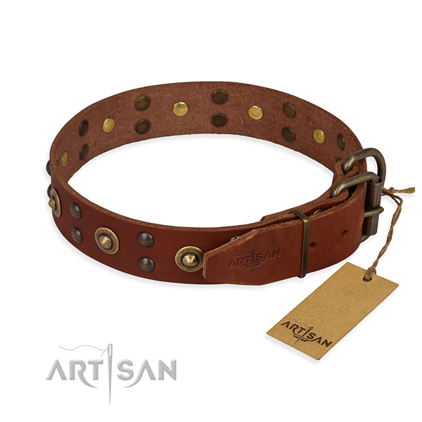 Rust resistant fittings on leather collar for your impressive four-legged friend