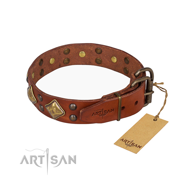 Full grain leather dog collar with fashionable strong studs