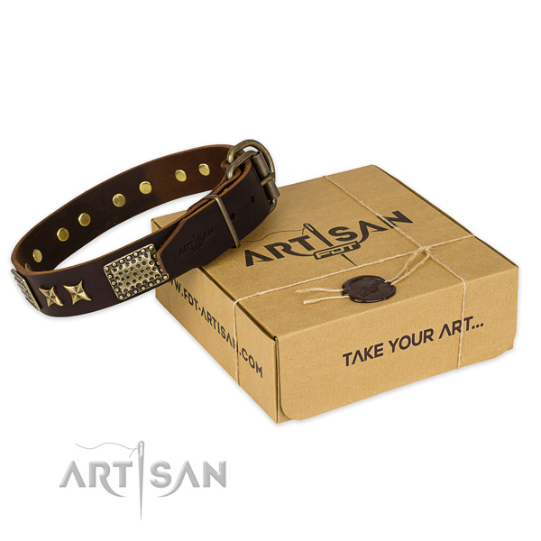Durable fittings on leather collar for your impressive four-legged friend