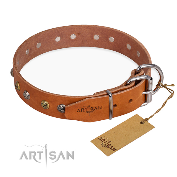 Quality full grain leather dog collar created for basic training