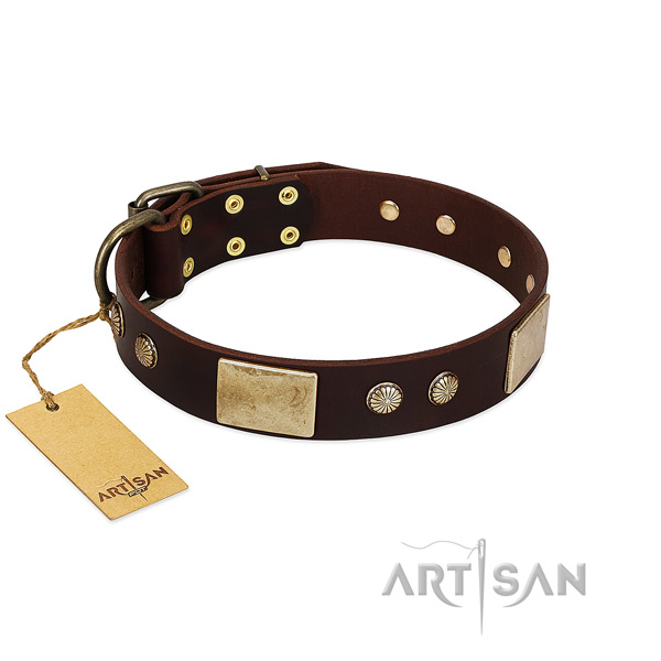 Easy to adjust full grain leather dog collar for everyday walking your pet