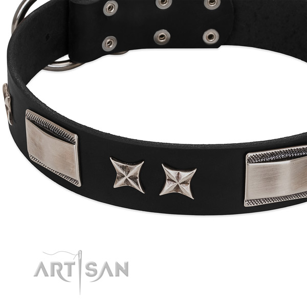 Top rate full grain genuine leather dog collar with reliable fittings