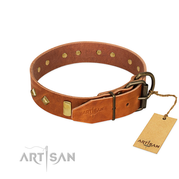 Easy wearing full grain natural leather dog collar with unusual embellishments