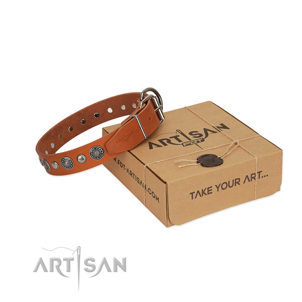 Full grain natural leather collar with strong traditional buckle for your impressive canine