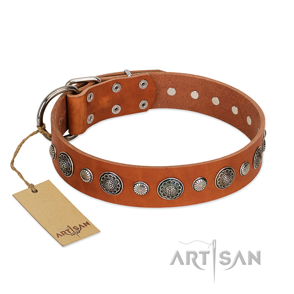 Strong full grain leather dog collar with rust-proof traditional buckle
