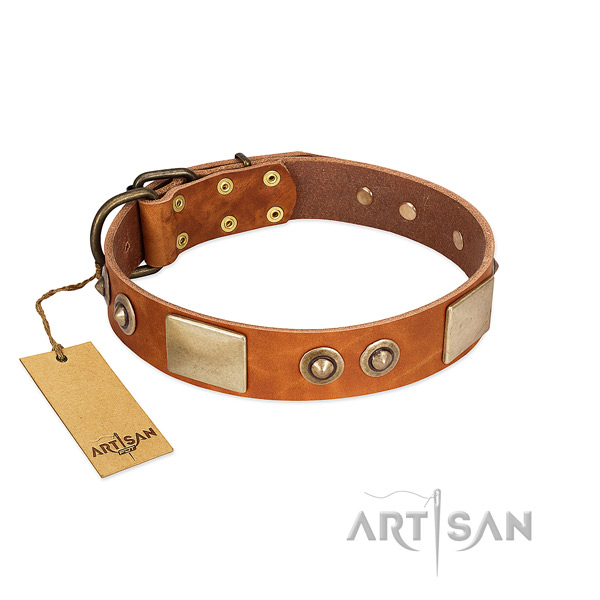 Easy adjustable leather dog collar for basic training your canine