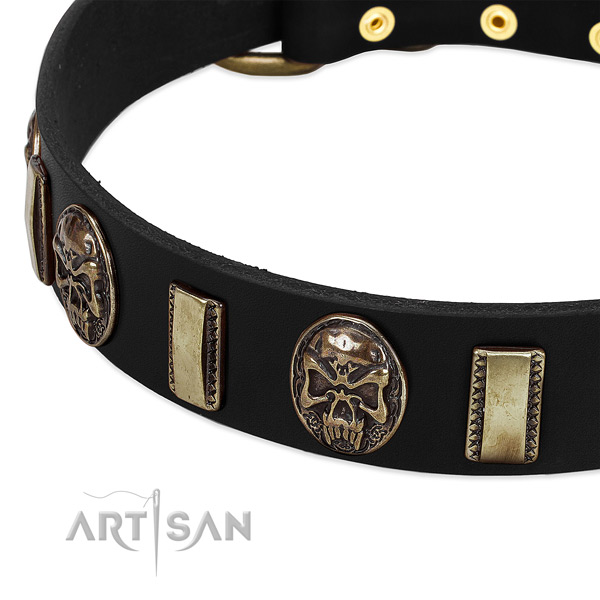 Durable hardware on leather dog collar for your pet