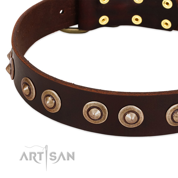 Corrosion proof decorations on genuine leather dog collar for your canine