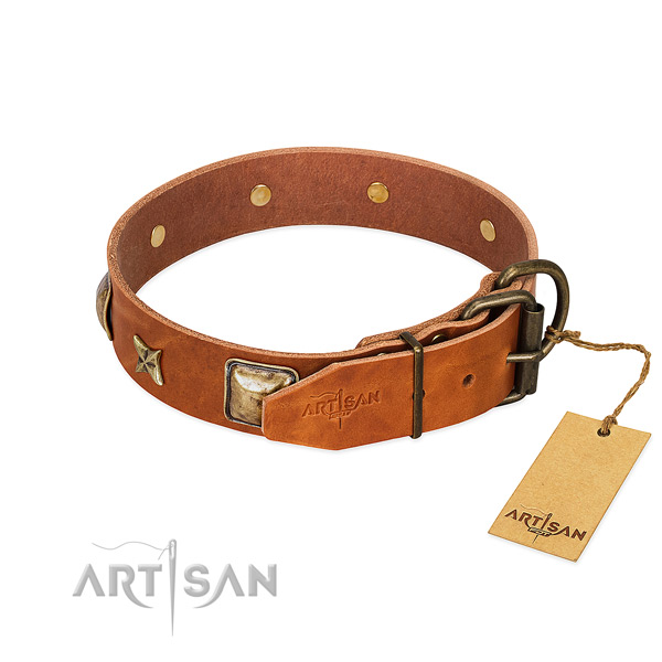 Full grain natural leather dog collar with reliable hardware and embellishments