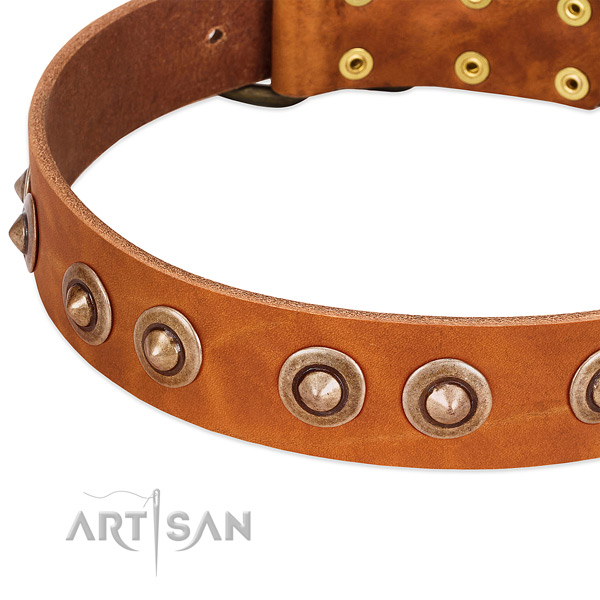 Reliable studs on leather dog collar for your canine