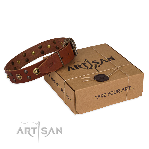 Reliable hardware on leather collar for your impressive doggie