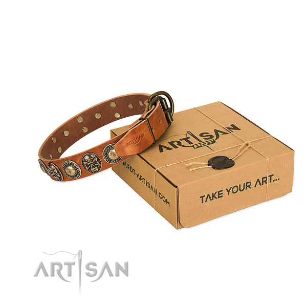 Rust-proof adornments on dog collar for daily use