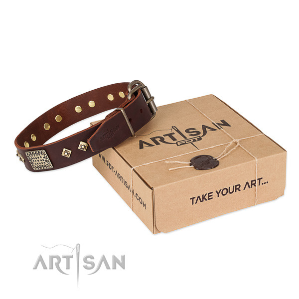 Embellished full grain natural leather collar for your beautiful four-legged friend