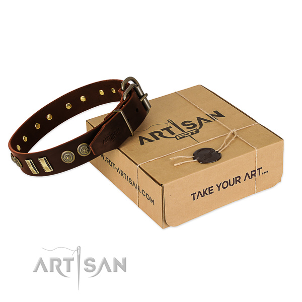 Corrosion resistant studs on natural leather dog collar for your pet