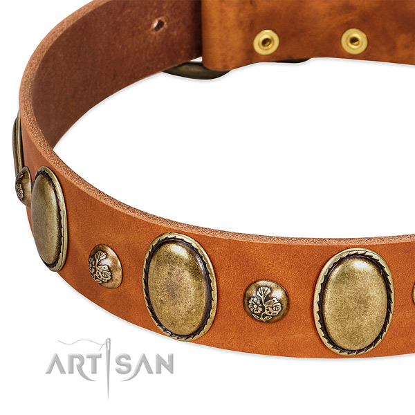 Full grain natural leather dog collar with fashionable adornments
