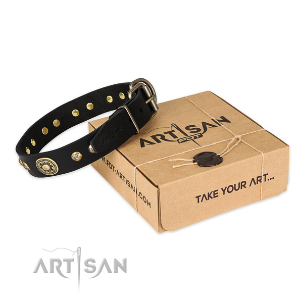 Strong traditional buckle on full grain leather dog collar for stylish walking