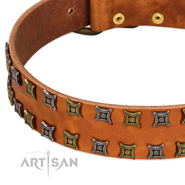 Best quality full grain genuine leather dog collar for your beautiful pet