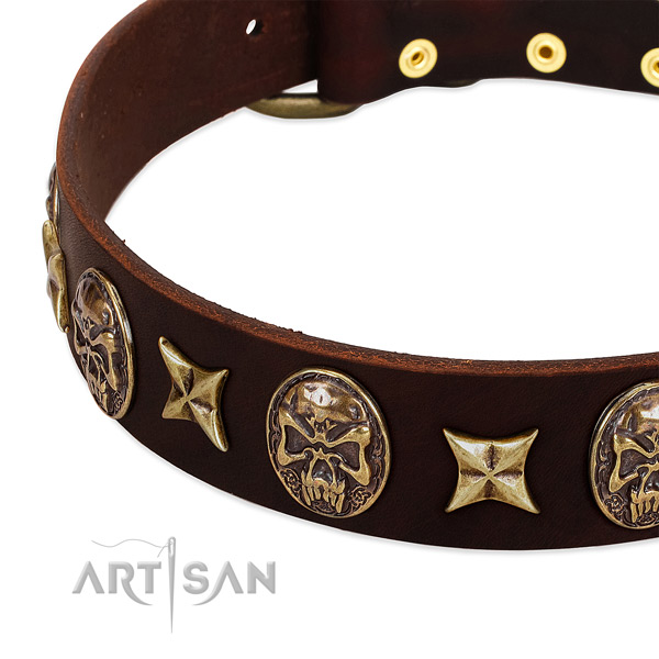 Strong studs on leather dog collar for your canine