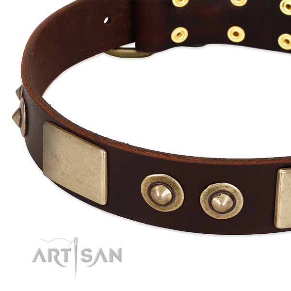 Durable studs on leather dog collar for your four-legged friend