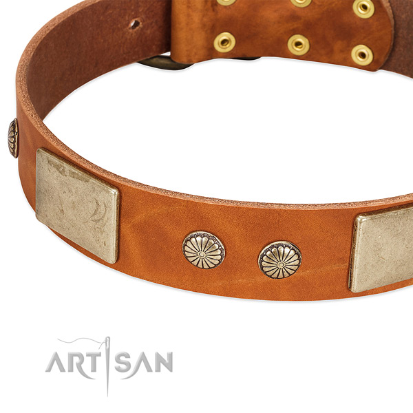 Rust resistant decorations on full grain natural leather dog collar for your pet