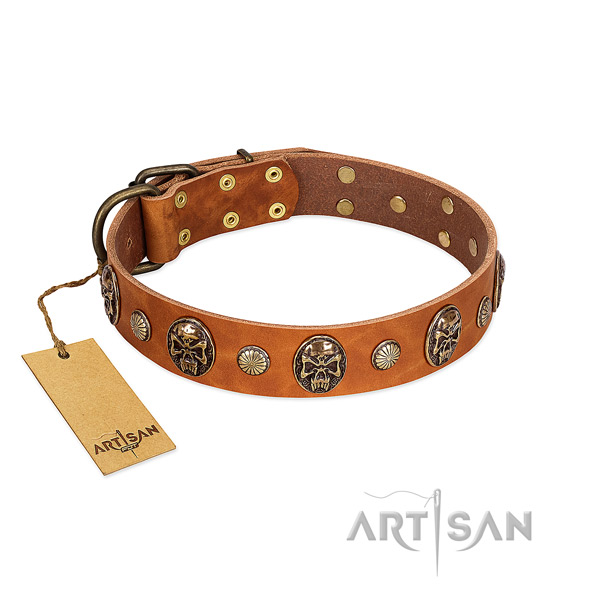 Designer full grain genuine leather dog collar for everyday use