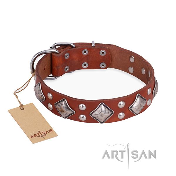 Comfortable wearing exceptional dog collar with rust-proof buckle